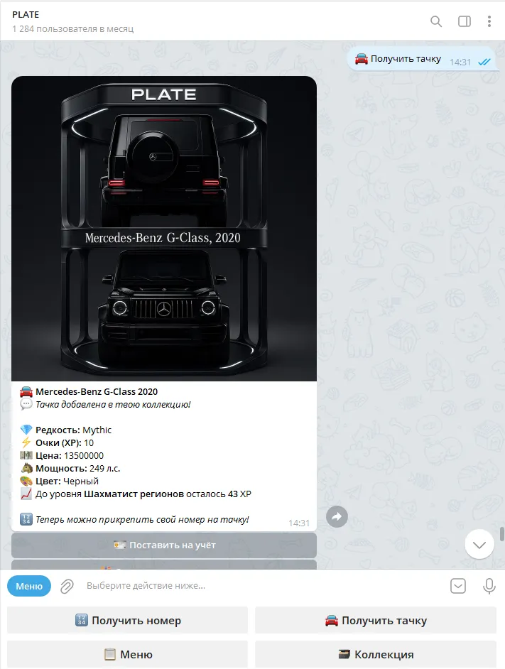 plate_nume_bot