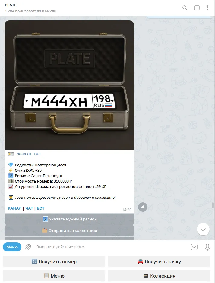 plate_nume_bot