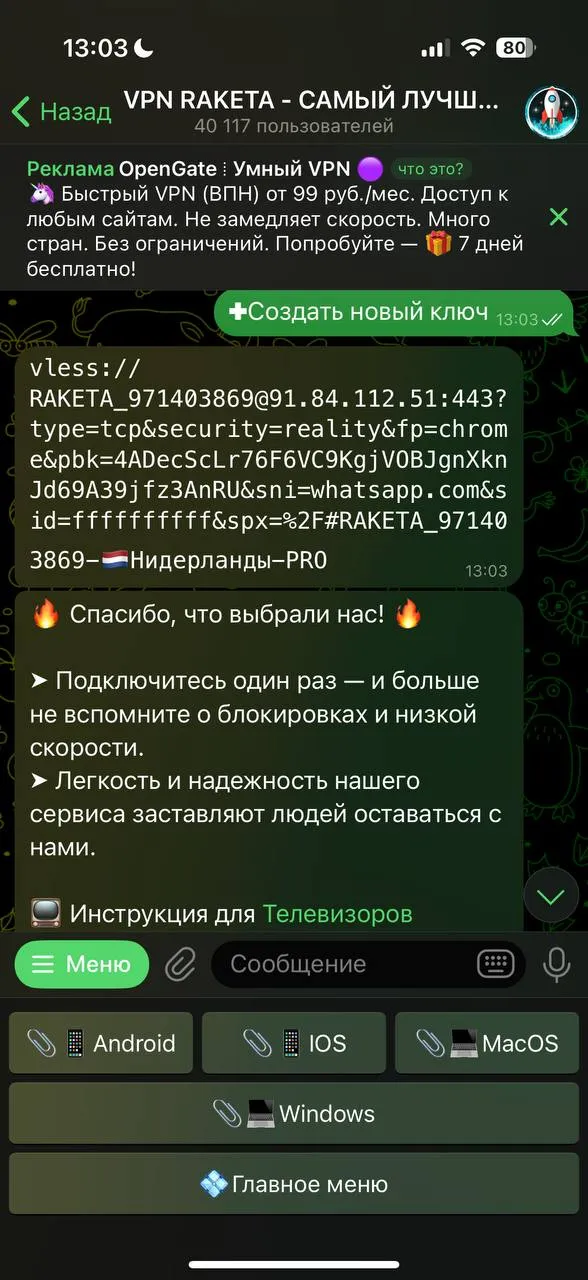 vpn_raketa_bot