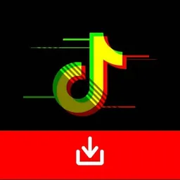 TikTok Downloader