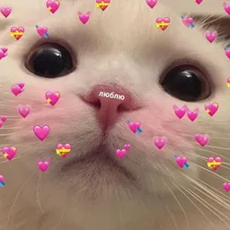 Ролевик х₽енов 🎮