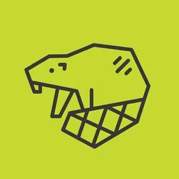 CyberBeaver – консультации по цифровой безопасности