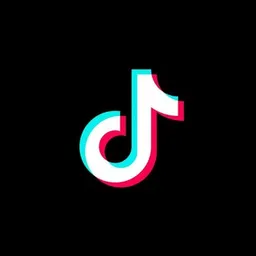 TikTok Downloader