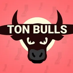 TON Bulls Game
