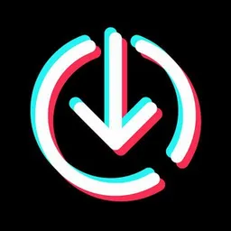 TikTok Save