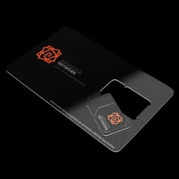 Aphasia - Management