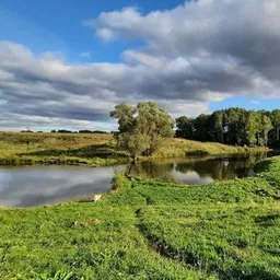 Фотопланета Бот