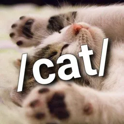 /cat/ ~ meow