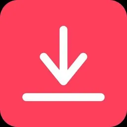 Tiktok Downloader | Douyin Downloader | Instagram | X