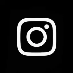 DOWNLOADER INSTAGRAM TIKTOK YOUTUBE PINTEREST