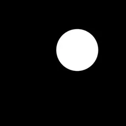 Seed