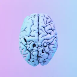 Тест IQ | Проверь уровень знаний 🧠