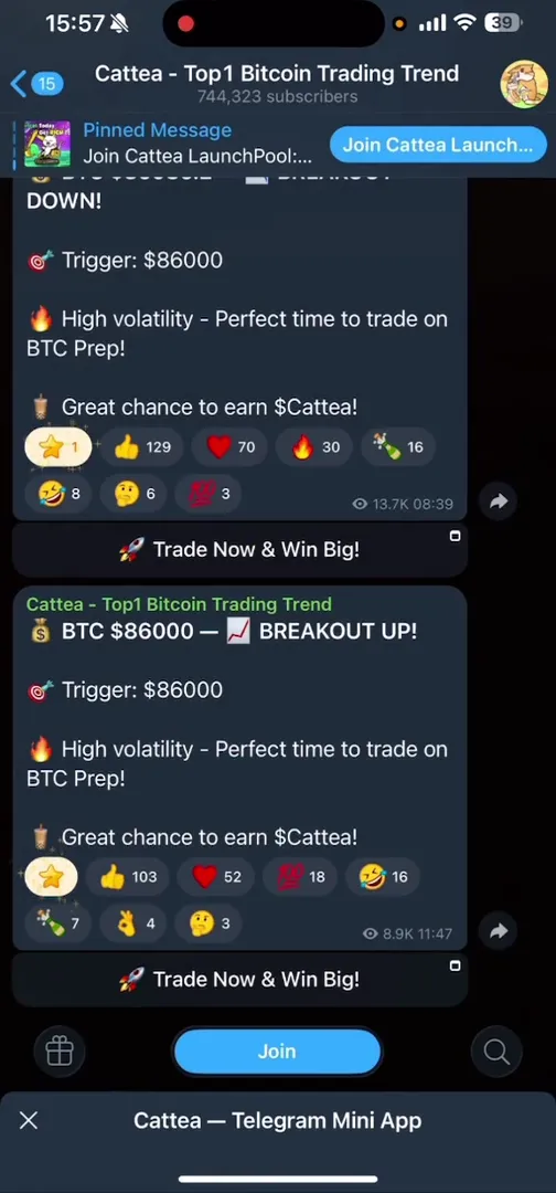 Официальный Telegram-канал проекта Cattea с 744к подписчиков