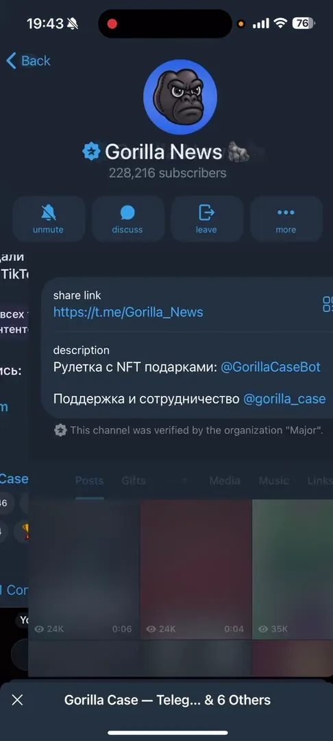 Официальный Telegram-канал проекта Gorilla News