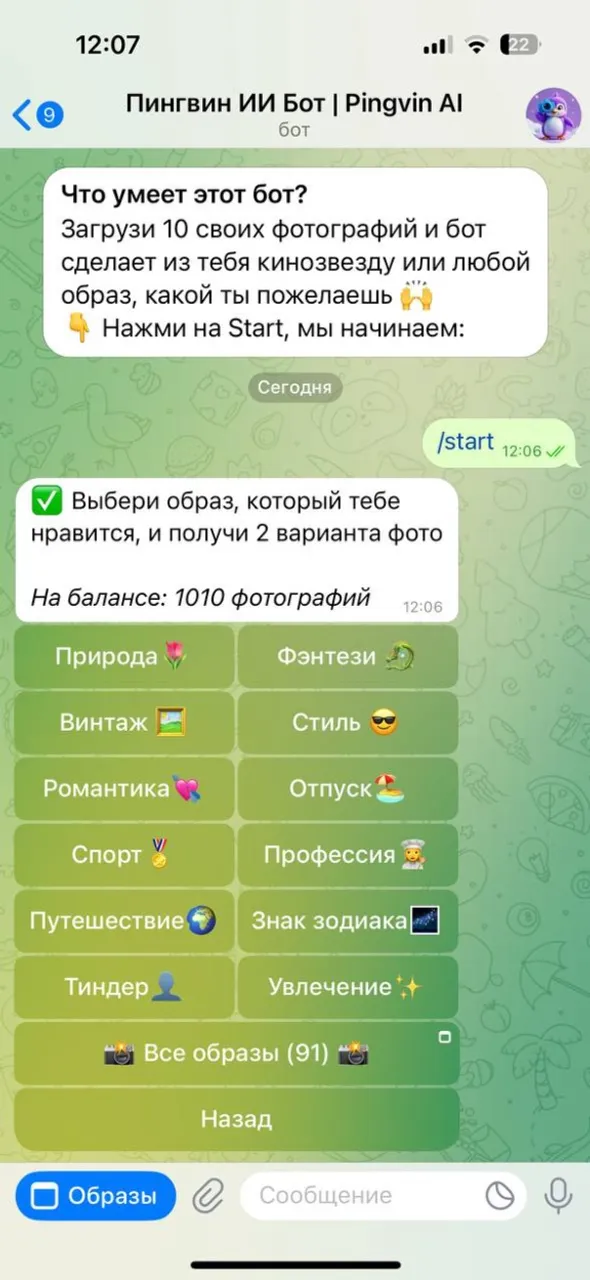pingvin_ai_bot