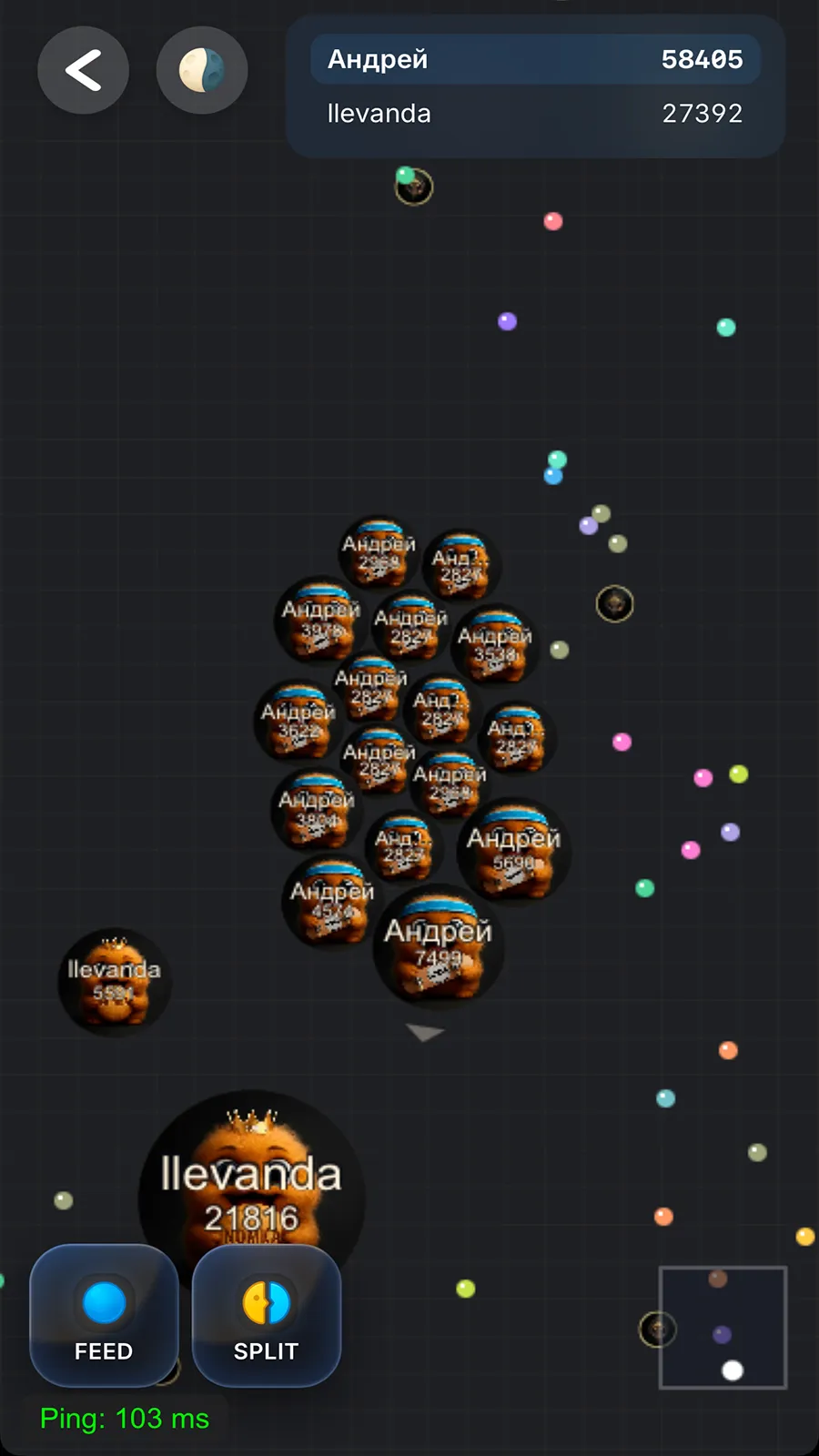 nomkafunbot
