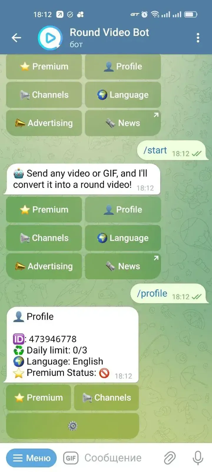 roundvideobot