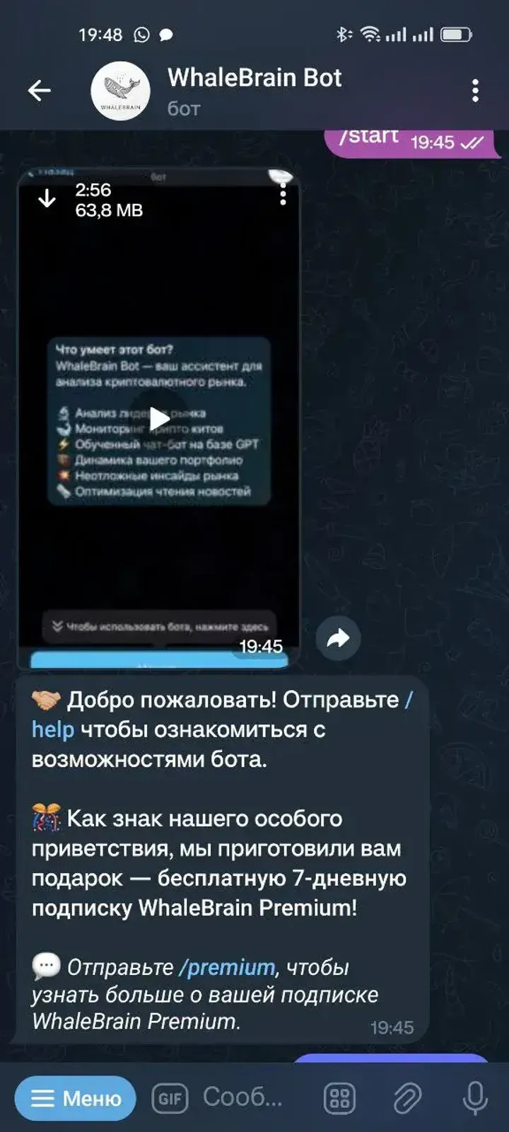 whalebrain_bot