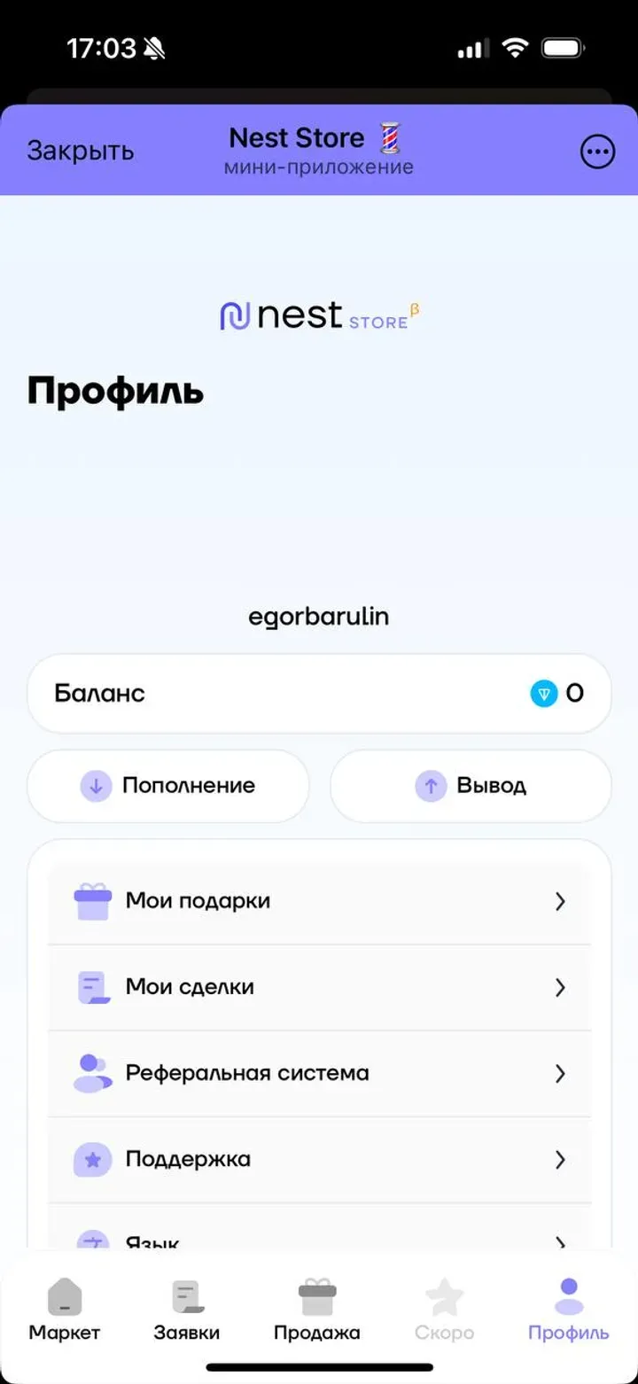 nestore_robot