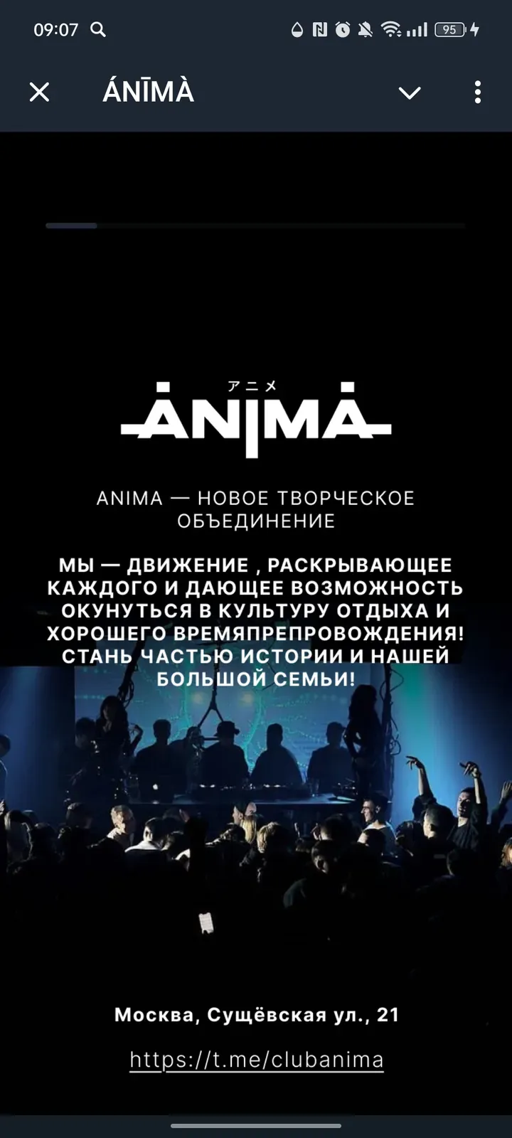 animaclub_bot