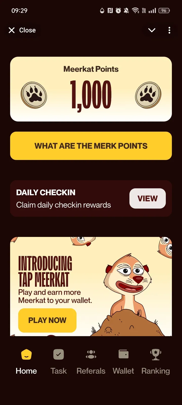 meerkatwtf_bot