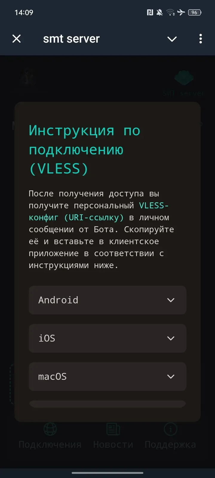 smt_server_bot